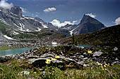 Alpe Veglia - Lungo il percorso per salire al Lago del Bianco (2157 m s.l.m.). 